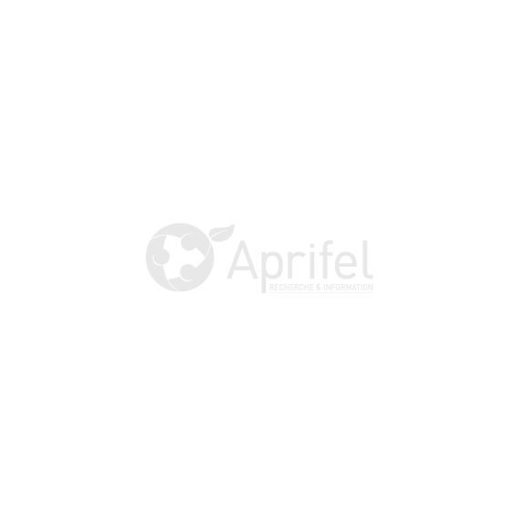 client image